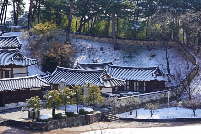 korea, tire house, winter, house, traditional house, nature, snow, republic of korea, tile house, gangneung, mission park, history