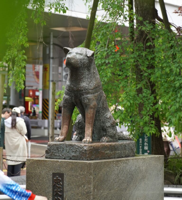 Hachiko Statue Tokyo