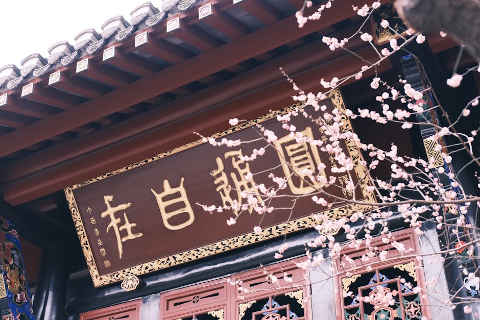 Spring cherry blossoms at Qingyang Palace in Chengdu, China.