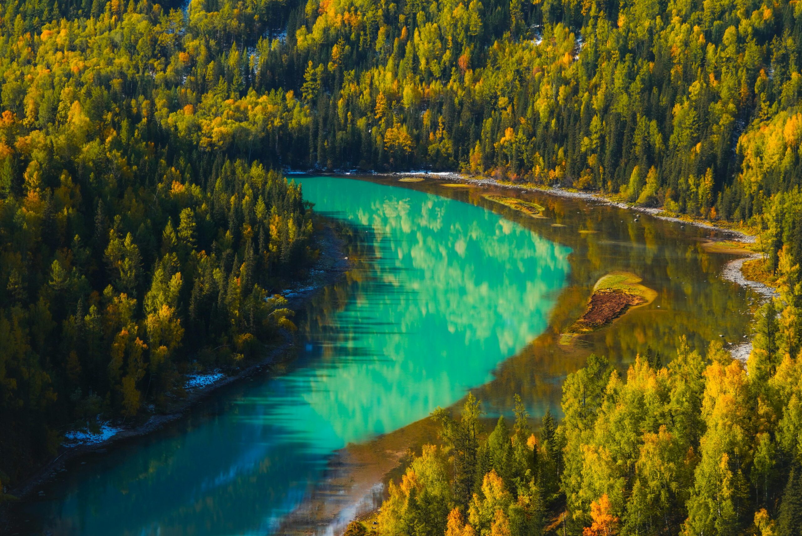 Breathtaking autumn landscape with vibrant foliage and turquoise waters of Kanas River in Xinjiang, China.