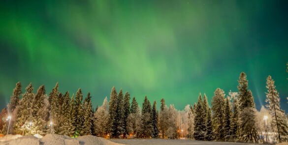 Stunning aurora borealis over snowy forest in Boden, Sweden at night
