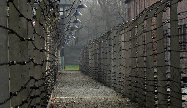 auschwitz, history, concentration camp, the museum, auschwitz, auschwitz, auschwitz, auschwitz, auschwitz, concentration camp, concentration camp, concentration camp, concentration camp, concentration camp