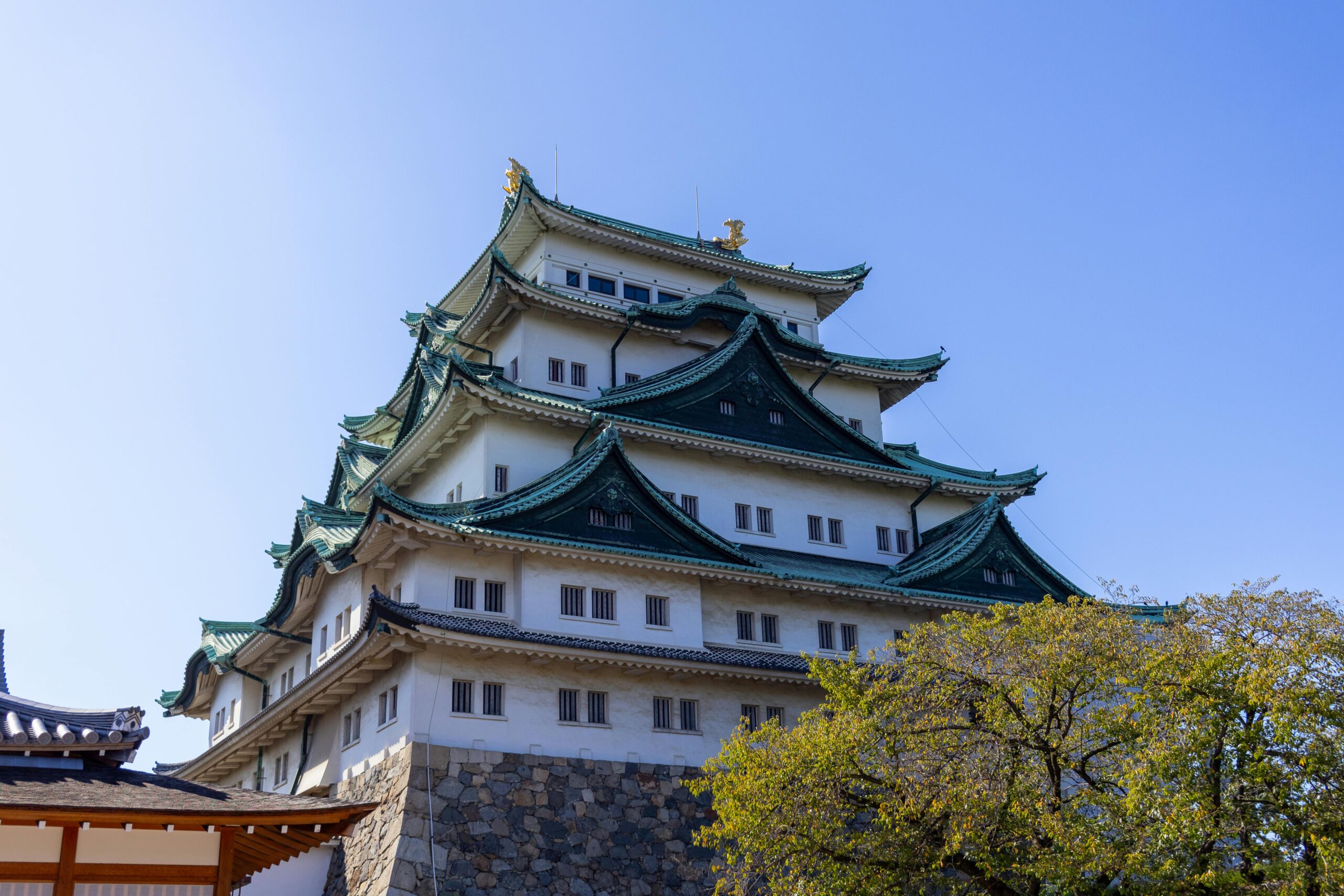 Beautiful view of Nagoya Castle with blue sky backdrop. Perfect for cultural and travel themes.